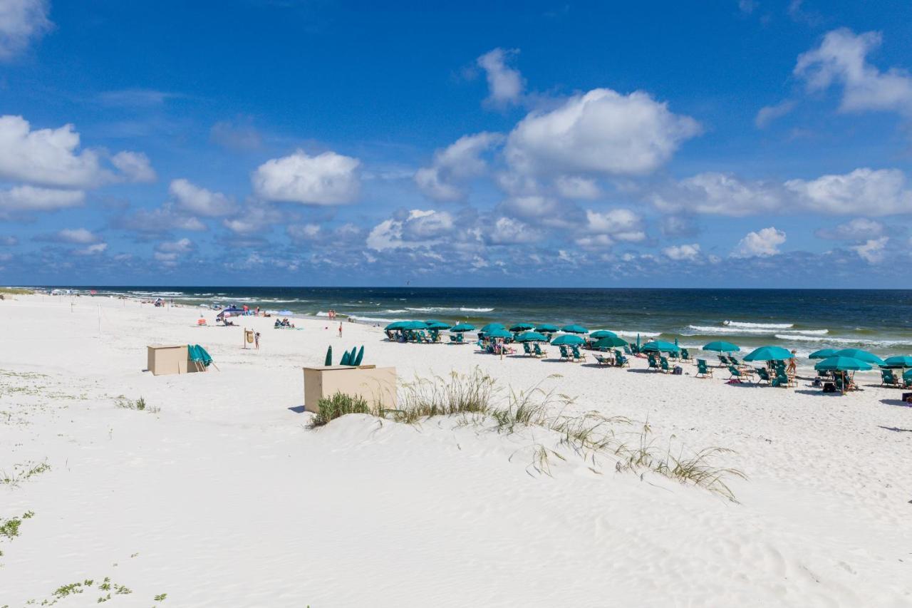 Beach Club 708D Gulf Shores Exteriör bild